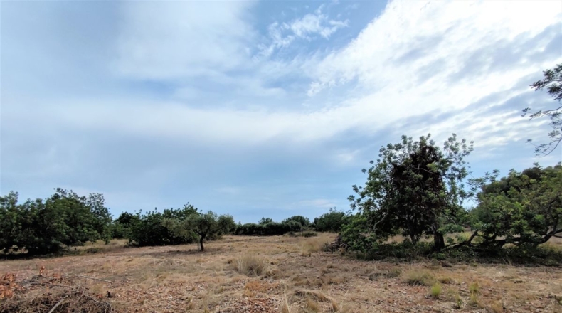 Castellón - Benicarló - 10086m2