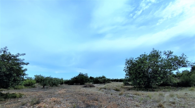 Castellón - Benicarló - 10086m2