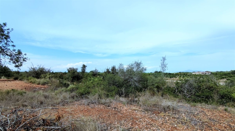 Castellón - Benicarló - 10086m2