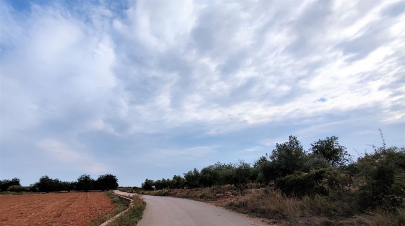 Castellón - Benicarló - 10086m2