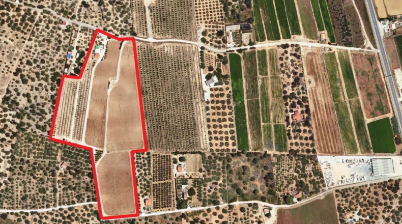 Tarragona - Amposta - 38000m2
