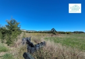 Non-developable land for sale in Ulldecona ref: TR59547 photo