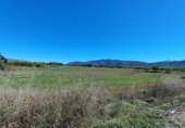 Non-developable land for sale in Ulldecona ref: TR59547 photo