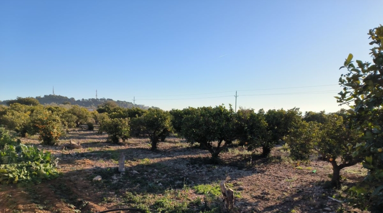 Tarragona - Sant Carles de la Ràpita - 7676m2