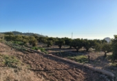 Finca rústica en venda a la Ràpita ref.: TR69169 foto