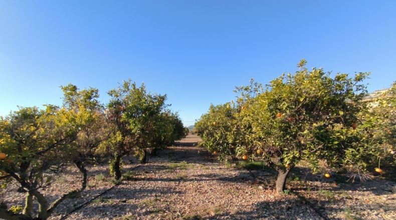 Tarragona - Sant Carles de la Ràpita - 7676m2