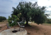 Finca rústica en venda a Amposta ref.: TR186413 foto