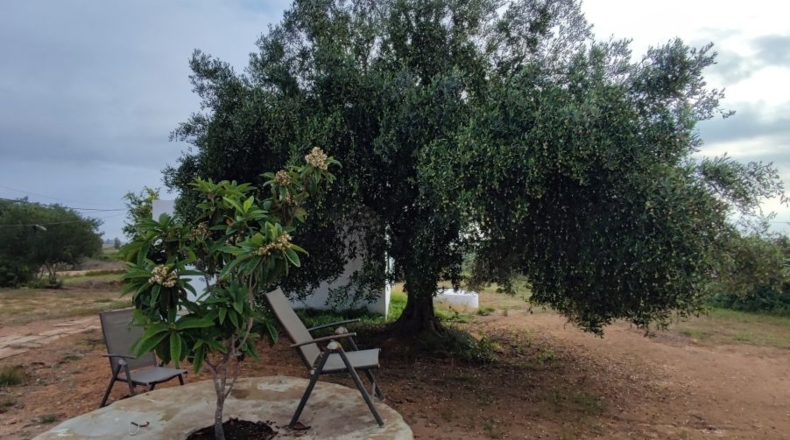 Tarragona - Amposta - 15000m2