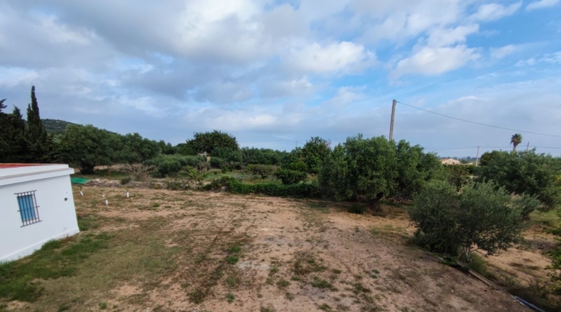 Tarragona - Amposta - 15000m2