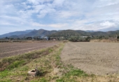 Finca rústica en venda a Amposta ref.: TR186413 foto