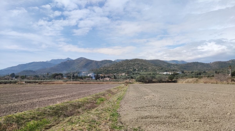 Tarragona - Amposta - 15000m2