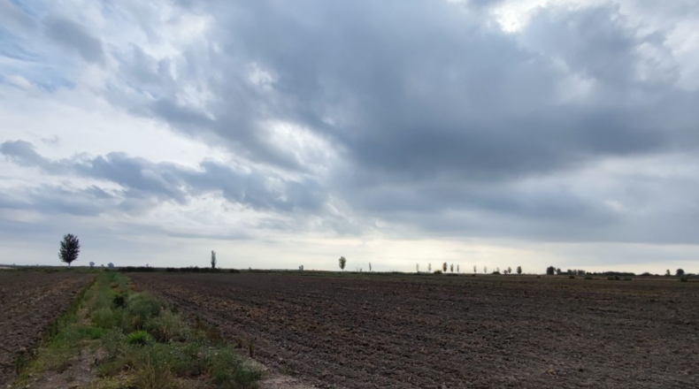Tarragona - Amposta - 15000m2
