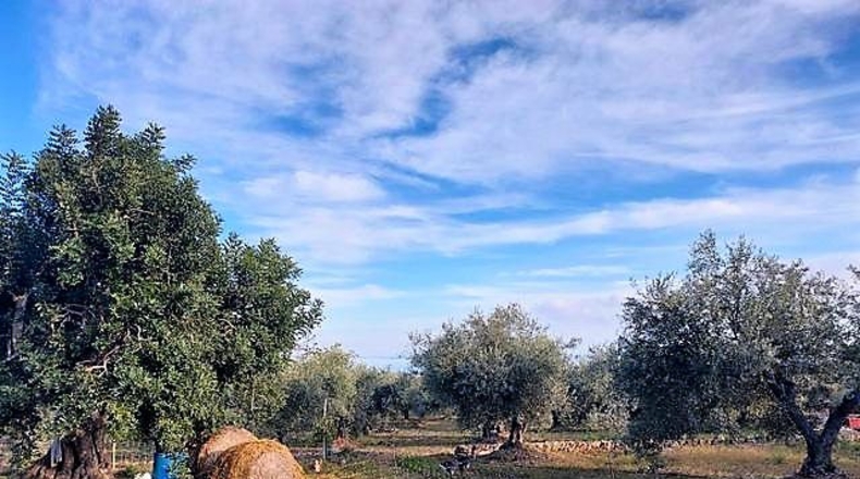 Tarragona - la Martinenca - 7500m2