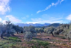 Alcanar 7500&nbsp;м²