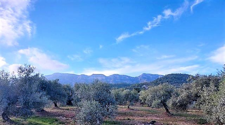 Tarragona - la Martinenca - 7500m2