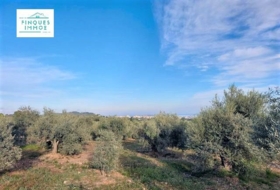 Alcanar 7500&nbsp;м²