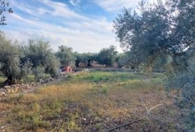 Alcanar 7500&nbsp;м²