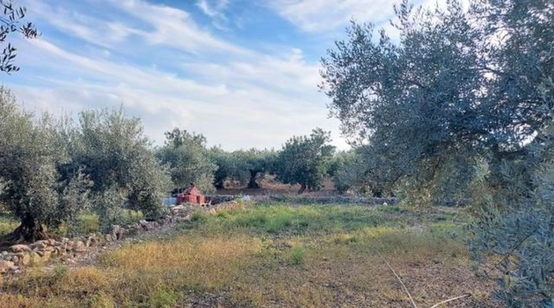 Tarragona - la Martinenca - 7500m2