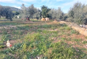 Alcanar 7500&nbsp;м²