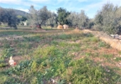 Terreno no urbanizable en venta en Alcanar ref: TR99402 foto