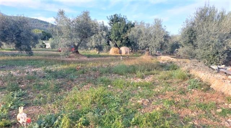Tarragona - la Martinenca - 7500m2