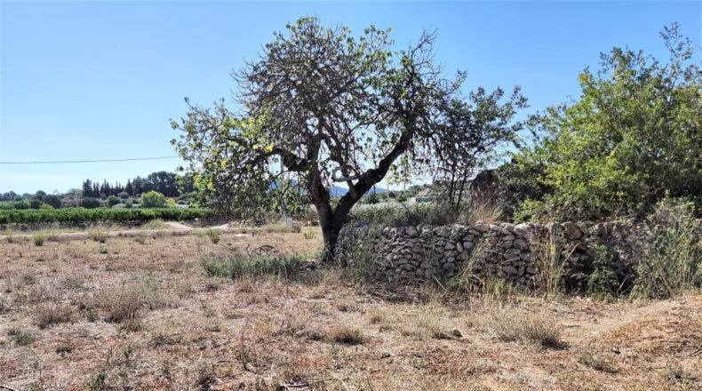 Tarragona - Masdenverge - 5700m2