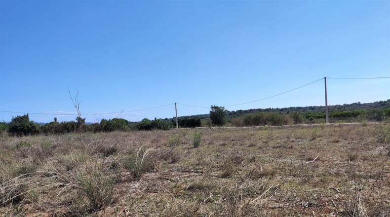 Tarragona - Masdenverge - 5700m2