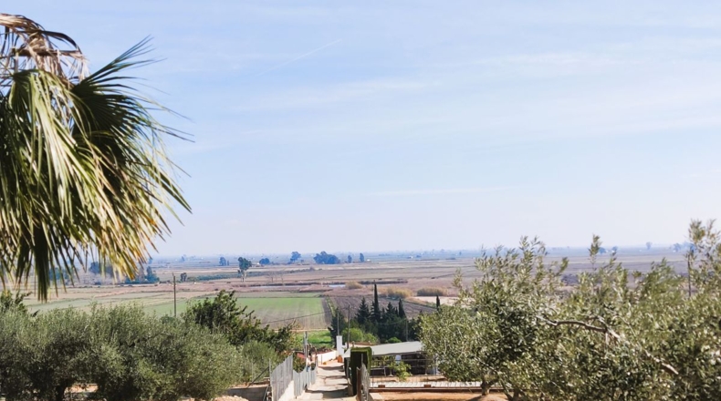 Tarragona - Amposta - 12000m2