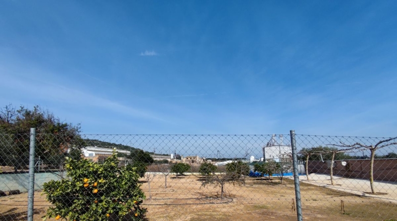 Tarragona - Amposta - 12000m2
