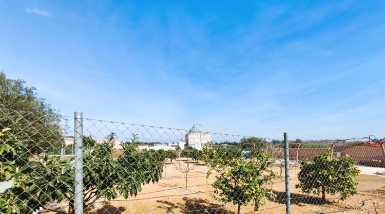 Tarragona - Amposta - 12000m2