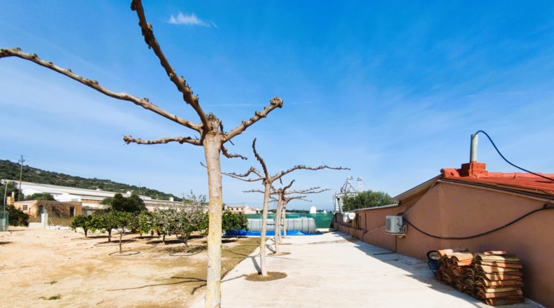 Tarragona - Amposta - 12000m2