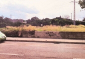 Terreny no urbanitzable en venda a Benicarló ref.: TR109457 foto