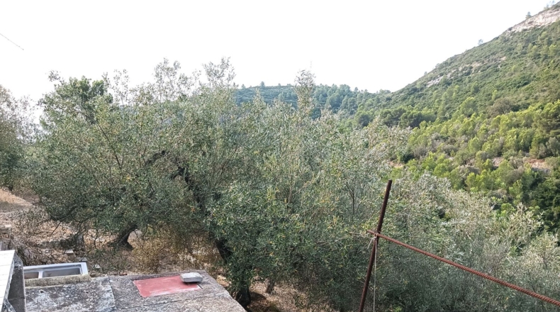 Tarragona - la Ràpita - 2700m2