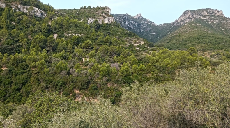 Tarragona - la Ràpita - 2700m2