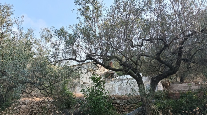 Tarragona - la Ràpita - 2700m2
