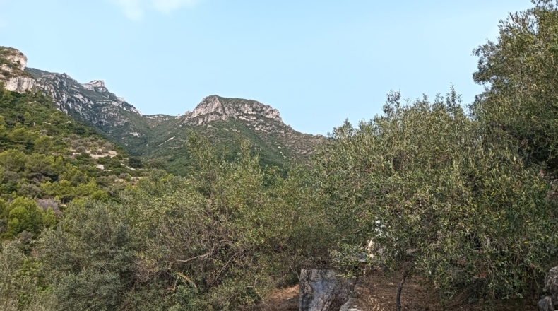 Tarragona - la Ràpita - 2700m2