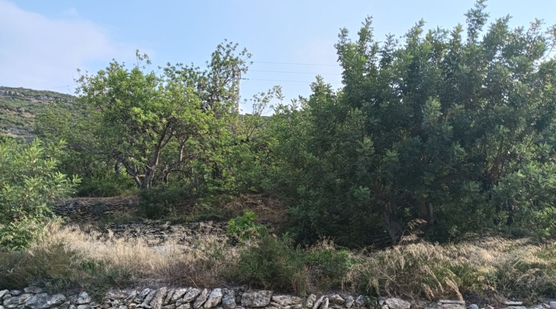 Tarragona - la Ràpita - 2700m2