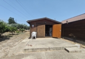 Finca rústica en venta en Amposta ref: TR330955 foto
