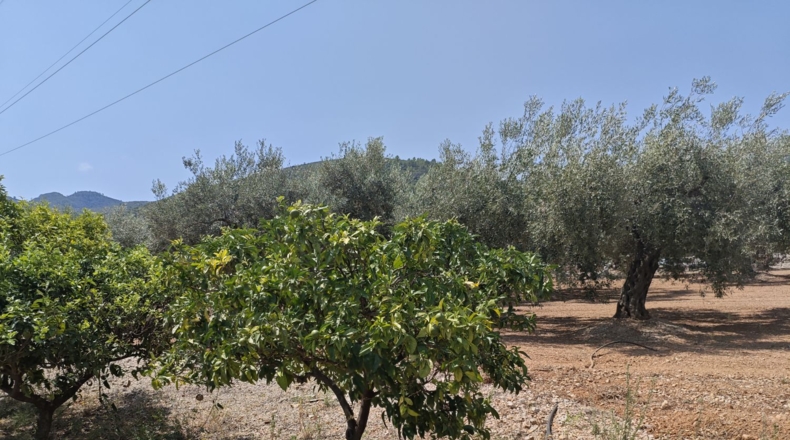 Tarragona - Amposta - 8875m2