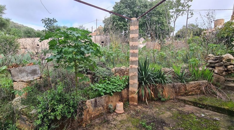 Islas Baleares - s'Horta - 14800m2