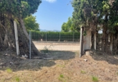 Finca rústica en venta en Cullera ref: TR40471 foto