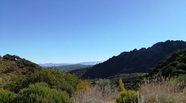 Cádiz - Grazalema - 9m2