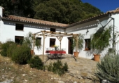Finca rústica en venta en Grazalema ref: TR21449 foto