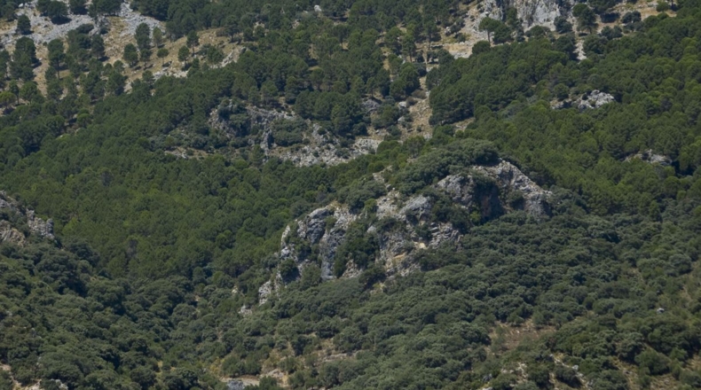 Cádiz - Grazalema - 9m2