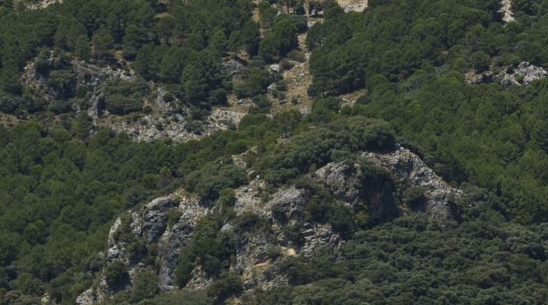 Cádiz - Grazalema - 9m2