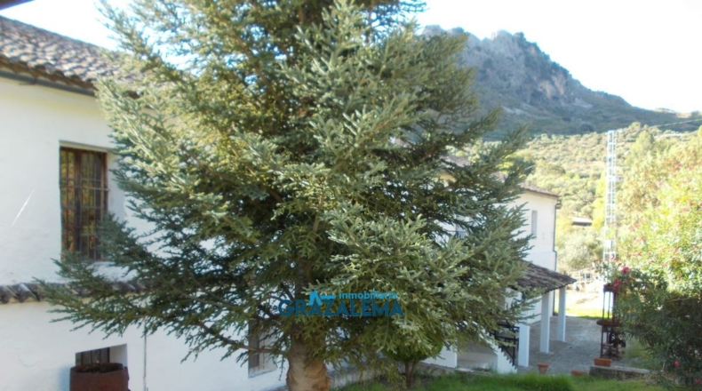 Cádiz - Grazalema - 7000m2