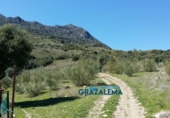 Rural estate for sale in Grazalema ref: TR29885 photo