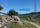 Rural estate for sale in Grazalema ref: TR29885 photo