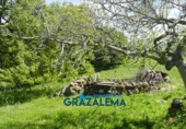 Finca rústica en venda a Grazalema ref.: TR21444 foto