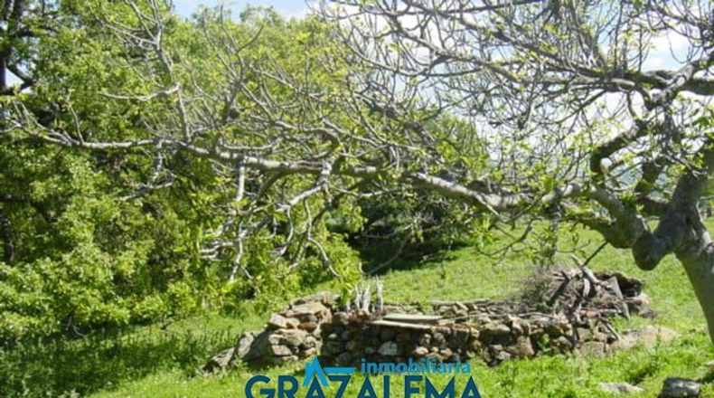 Cádiz - Jerez de la Frontera - 6m2